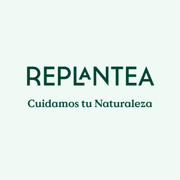 Replantea